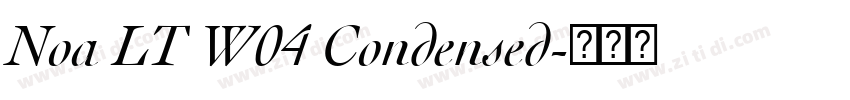 Noa LT W04 Condensed字体转换 Noa LT W04 Condensed字体转换